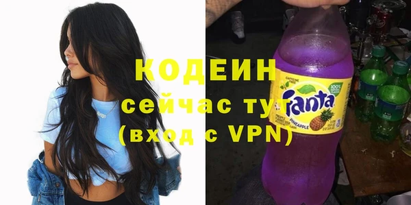 прущие грибы Вязники