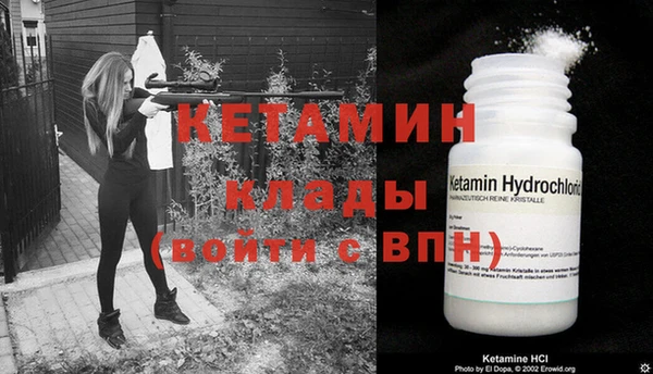прущие грибы Вязники