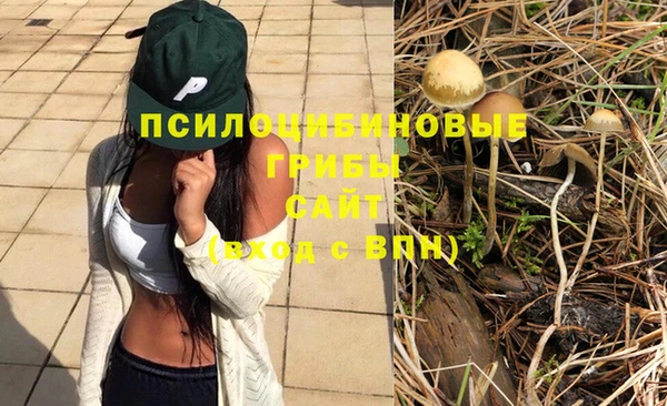 ешки Вязьма