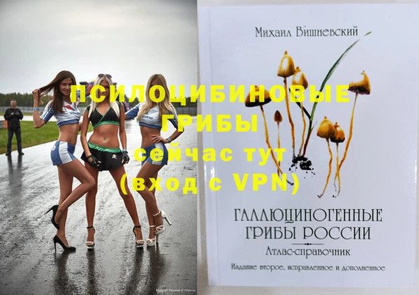 прущие грибы Вязники