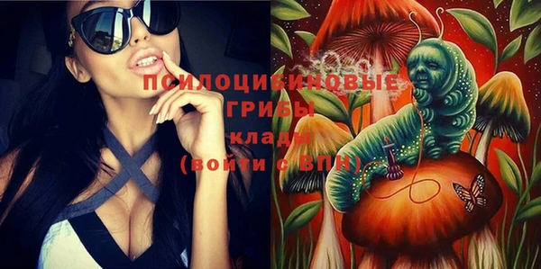прущие грибы Вязники