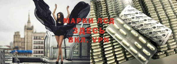 прущие грибы Вязники