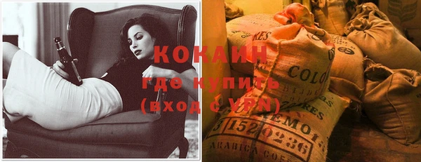 прущие грибы Вязники